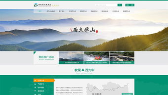 案例網思 北京網站建設的標桿與實踐
