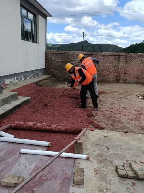 科技產品融入新農村建設,這個村的蔬菜分揀廠不一般