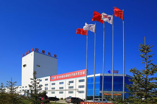 酷站科技簽約紅星乳業綠色乳制品集團官方網站建設
